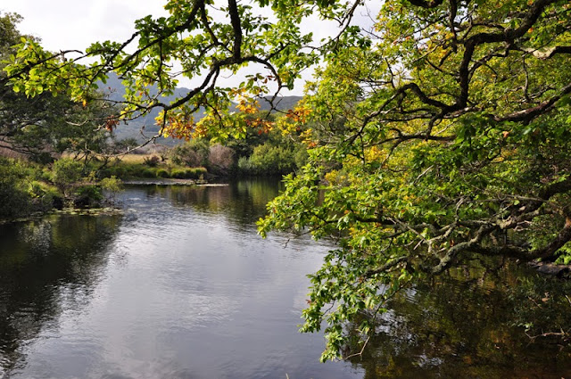 Irland 2014 - Tag 4 | Muckross House & Wanderung um den Muckross Lake