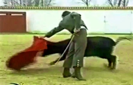 Tauromaquia (4)