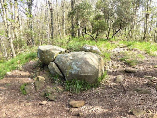 menhir sentiero Av5Terre