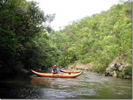 duckChapada (11)