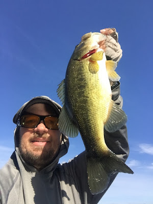 2.27lbs Ish's Phat (Green)