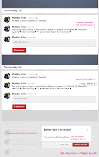 Pinterest Etiquette #2; how to delete a comment on Pinterest. Night Sea 90