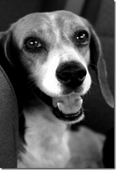 Tallulah