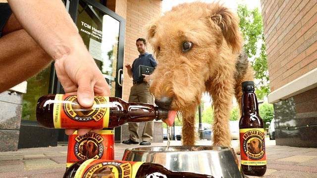 Você já viu cerveja para cachorros Bowswe Beer