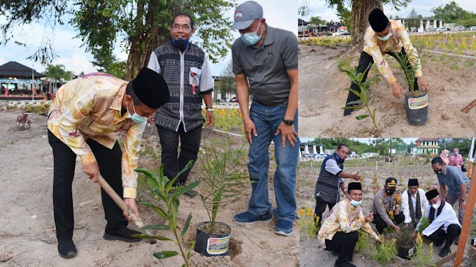 100 Bibit Pohon Kurma Ditanam di Pantai Kata Desa Taluak