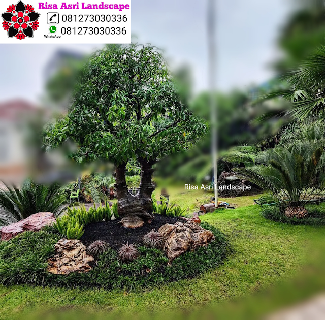 Risa Asri Landscape - Landscape Taman