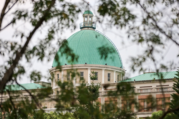 台中霧峰亞洲大學杜鵑花盛開，整座校園充滿繽紛色彩好美好好拍