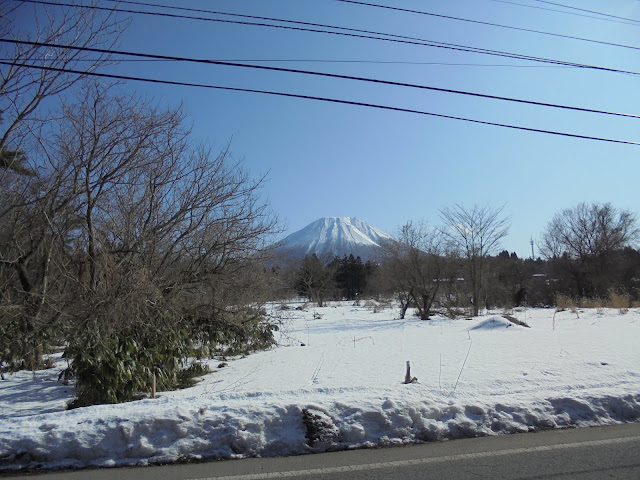 ペンション街山の手通りから見た美しい大山