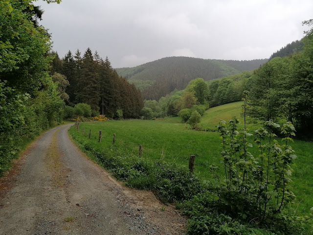 Sauerland wandern Wetter blog Hollenmarsch Bericht Schmallenberg Bödefeld