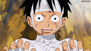 ワンピースアニメ 505話 ルフィ Monkey D. Luffy | ONE PIECE Episode 505