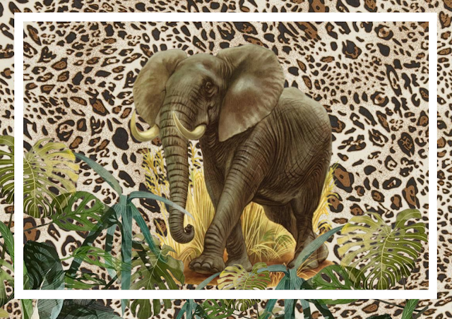 Wild Animals Prints / Free Wall Art