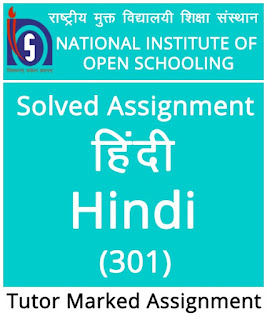 nios assignment hindi 301