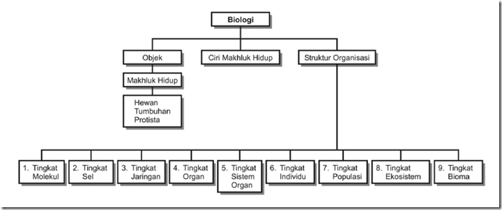Peta Konsep untuk Ruang Lingkup Biologi - Garda Pengetahuan