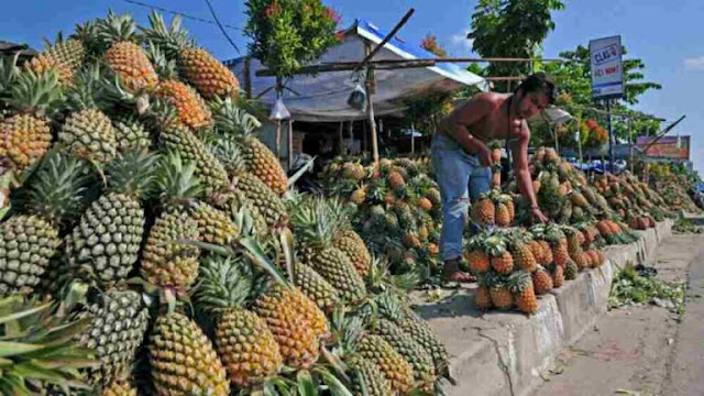 Manfaat Buah Nanas Untuk Asam Lambung