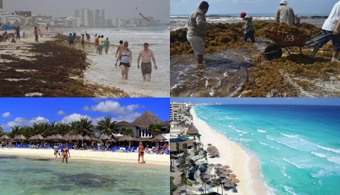Cancún pierde en 33 años 11 playas públicas