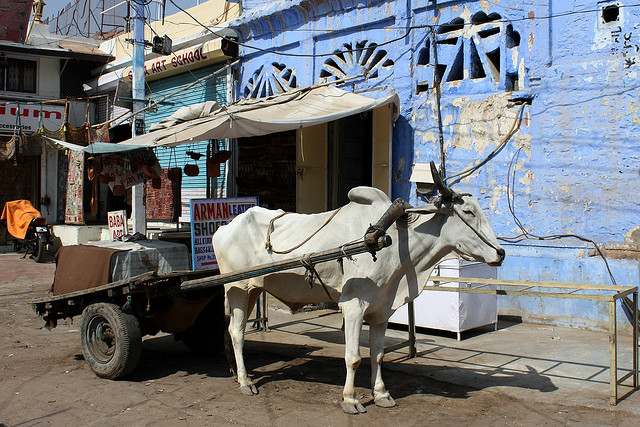 Blue City of Jodhpur, India