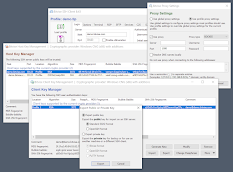 Captura de la Interfaz Gráfica Actual de BitVise SSH Client Transf Archivos