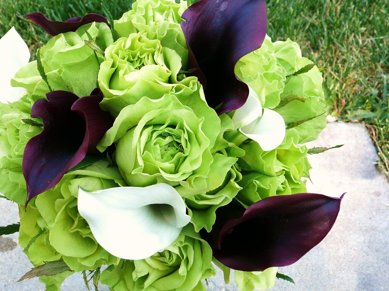 Allinallwalls : Most beautiful green roses in the world ...