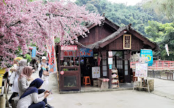 Serunya Wisata di The Great Asia Africa Lembang Bandung 