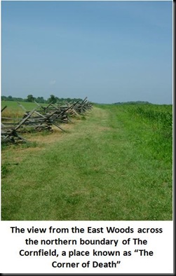 Photo-5