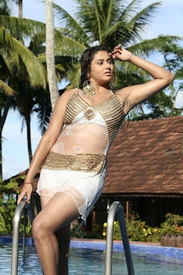 latest hot stills of namitha