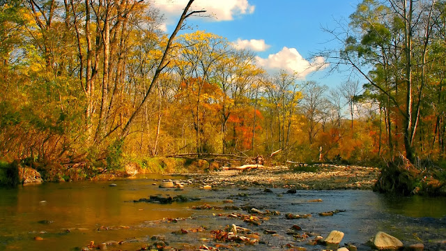 Rivier in een bos in de herfst