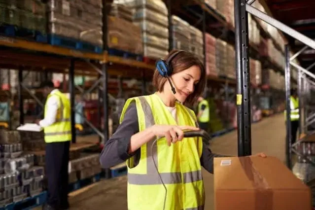 auxiliar de logistica pinhais