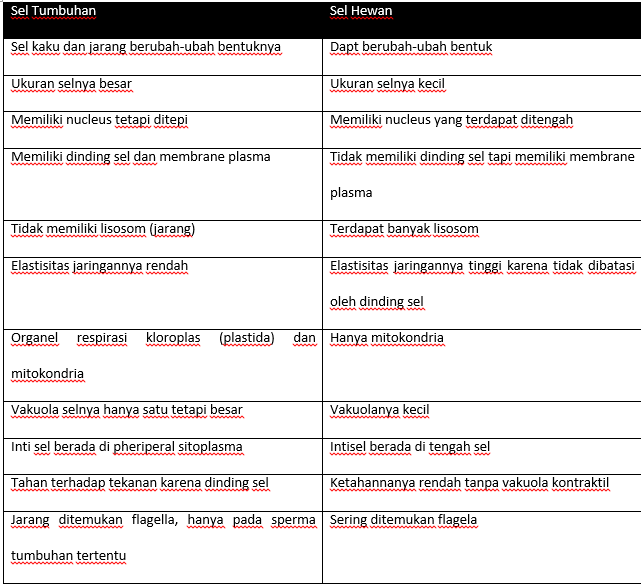 Perbedaan Sel  Hewan  dan  Sel  Tumbuhan  Riolan