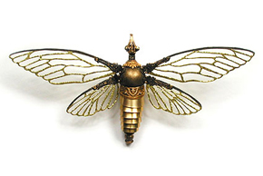 Cicadidae