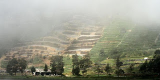 Di Puncak Kemarau, Suhu di Dieng Dibawah 0 Derajat Celcius