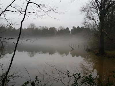 Bare trees stand by a misty, creepy lake