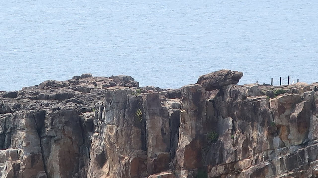 三段壁 白浜 和歌山