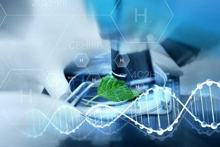 enzymes production