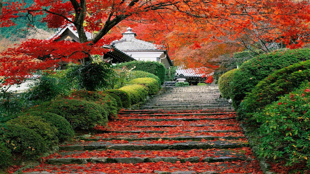 Japanese Garden HD Wallpaper