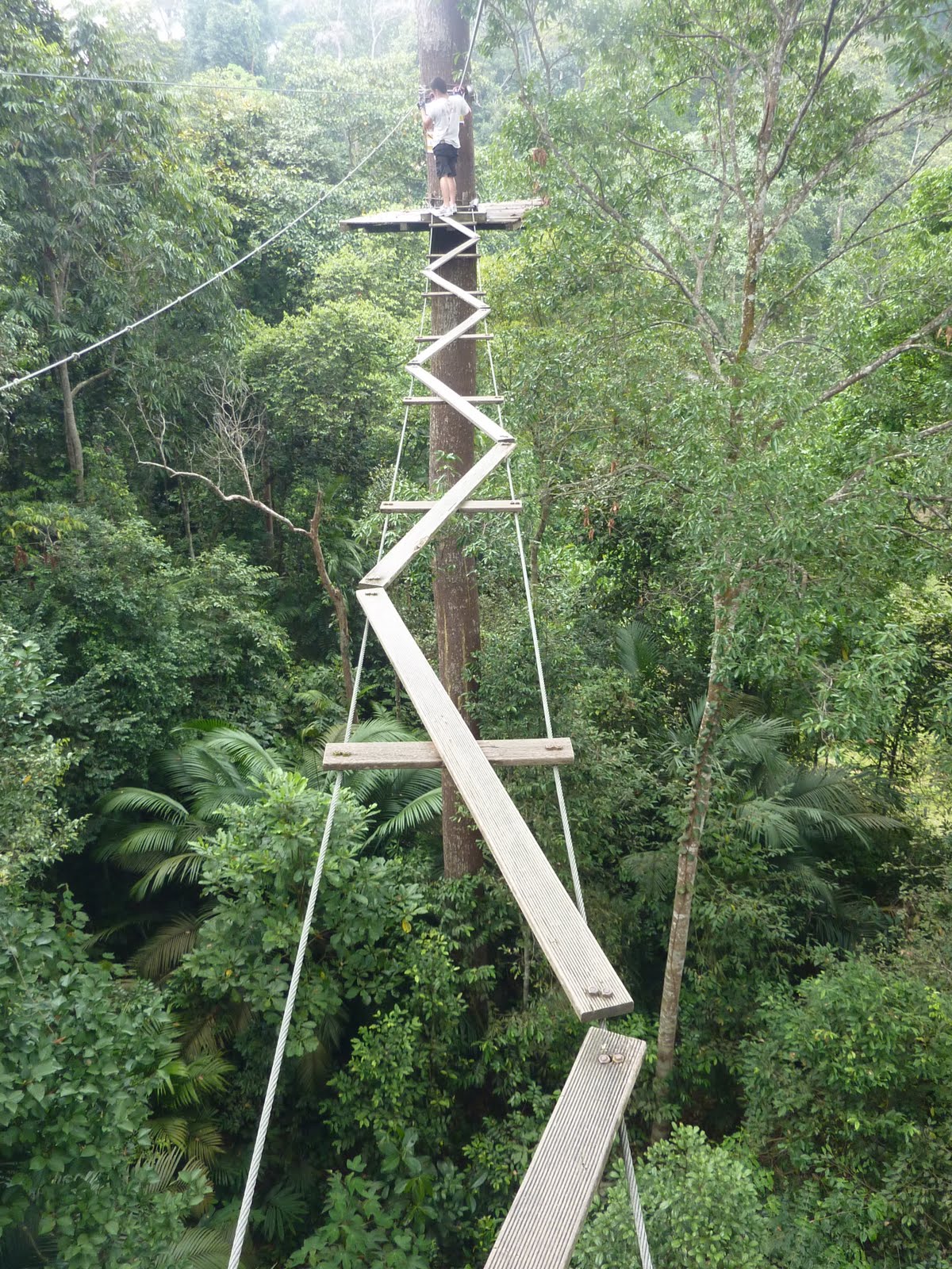 Memoirs of a Chocoholic: SkyTrex Adventure @ Bukit Cahaya 