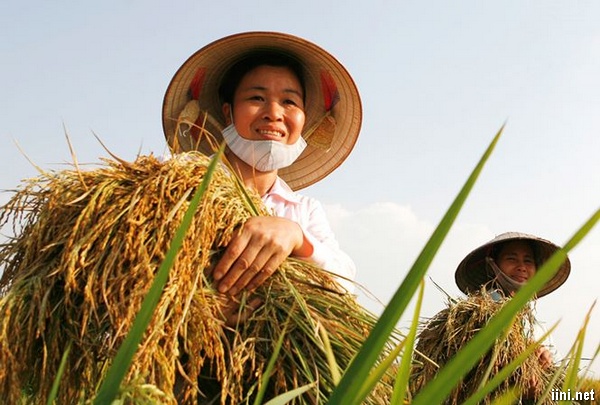 thơ hay về người nông dân