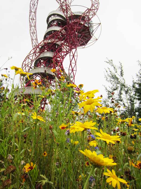 Wild flowers around the ArcelorMittal Orbitat at the London 2012 Olympics