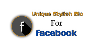 unique stylish bio for facebook