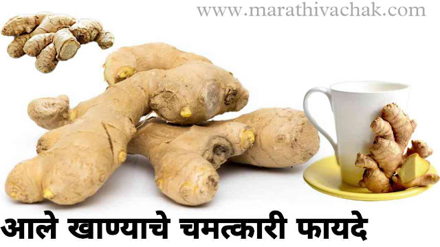 आले खाण्याचे १० फायदे अद्रक चे आयुर्वेदिक फायदे मराठी | ginger benefits in marathi