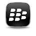 The Blackberry Secret Codes
