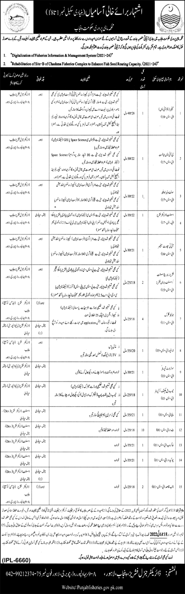 Latest Fisheries Department Management Posts Lahore 2022