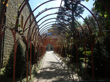Fotografía