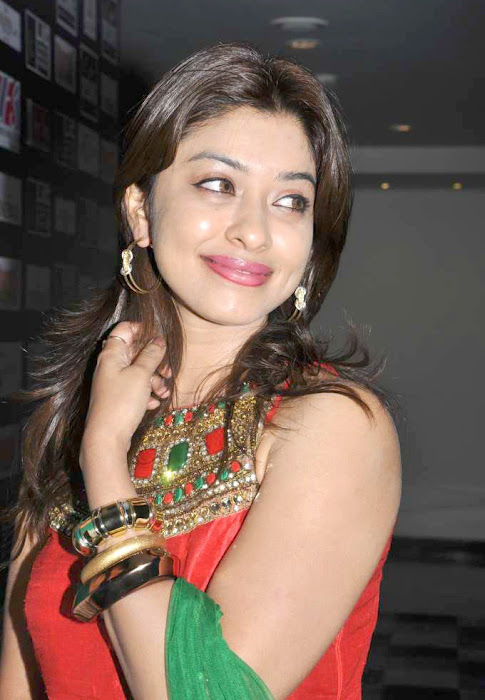 payal ghosh amazing actress pics