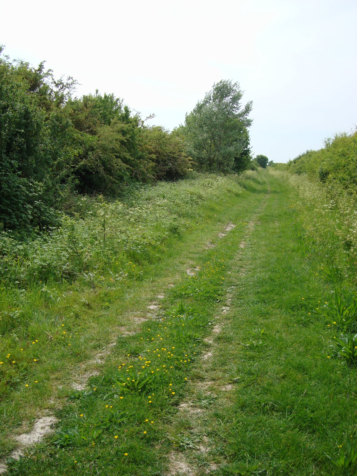 DSC08032.JPG