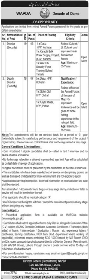 Jobs 2023 in WAPDA house Lahore for director Security