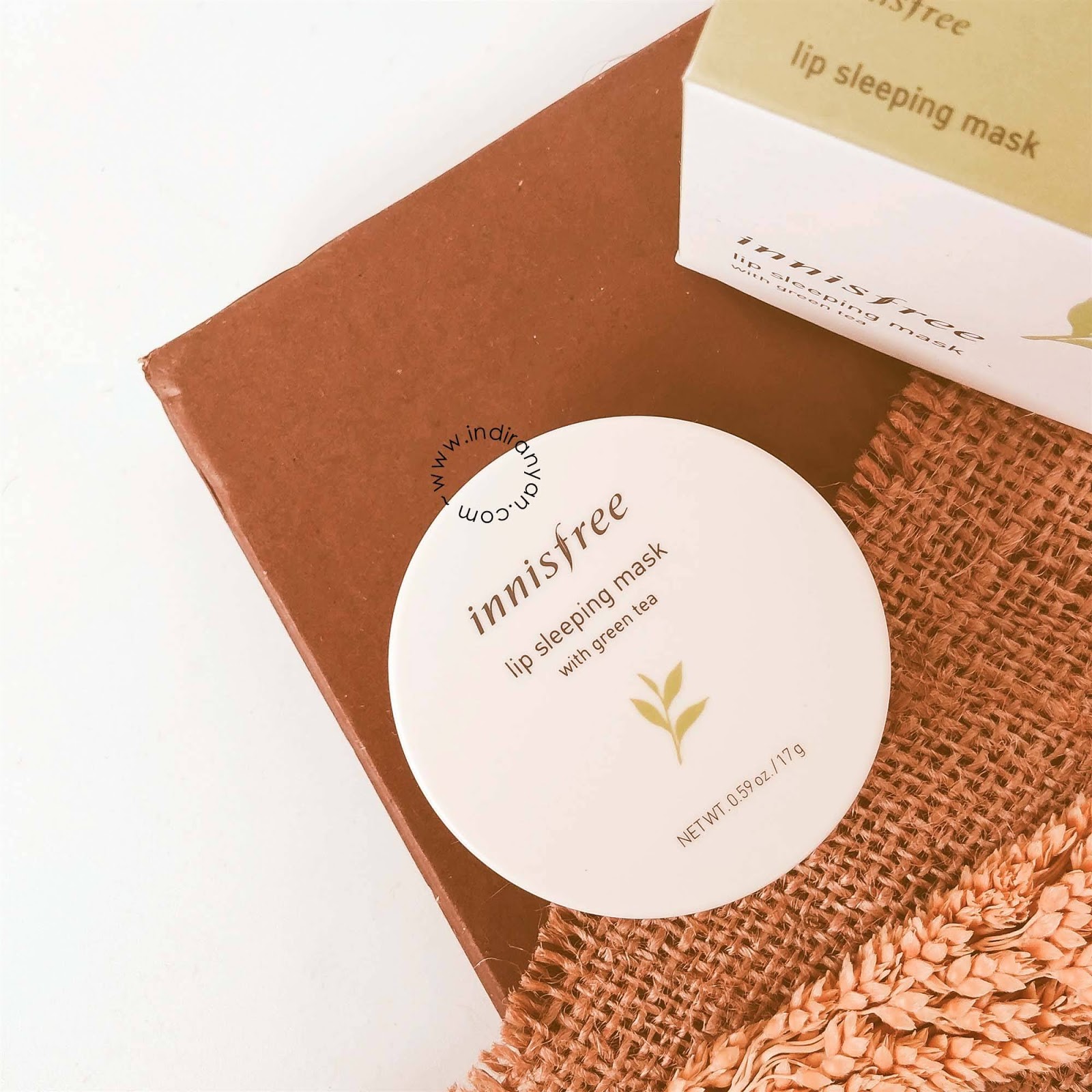 innisfree-green-tea-lip-sleeping-mask