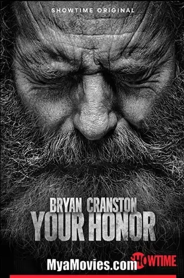 Your Honor: Season 1