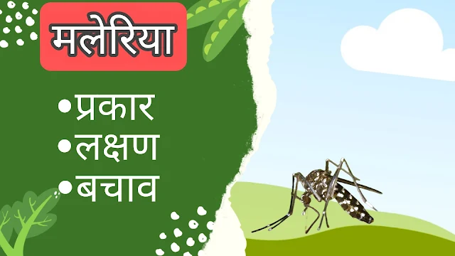 मलेरिया बुखार के प्रकार, इसके लक्षण और बचाव के उपाय MALARIA