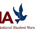 Promise of Nursing Graduate Fellowships for Postgraduate USA and Non-USA Nursing Students Scholarships