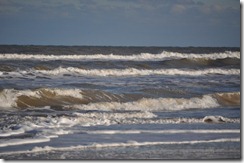 DSC_0196 (2)